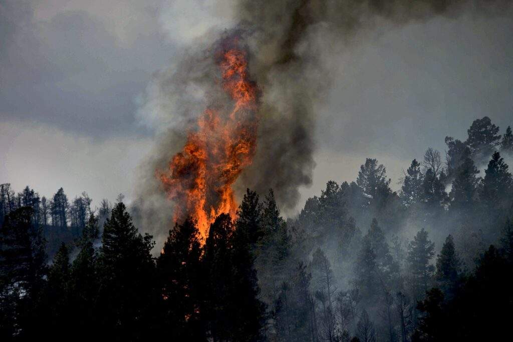 Colorado fires