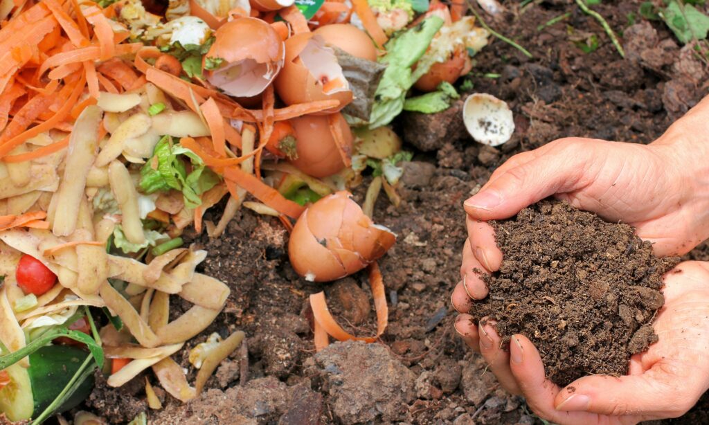 compost decomposition dirt