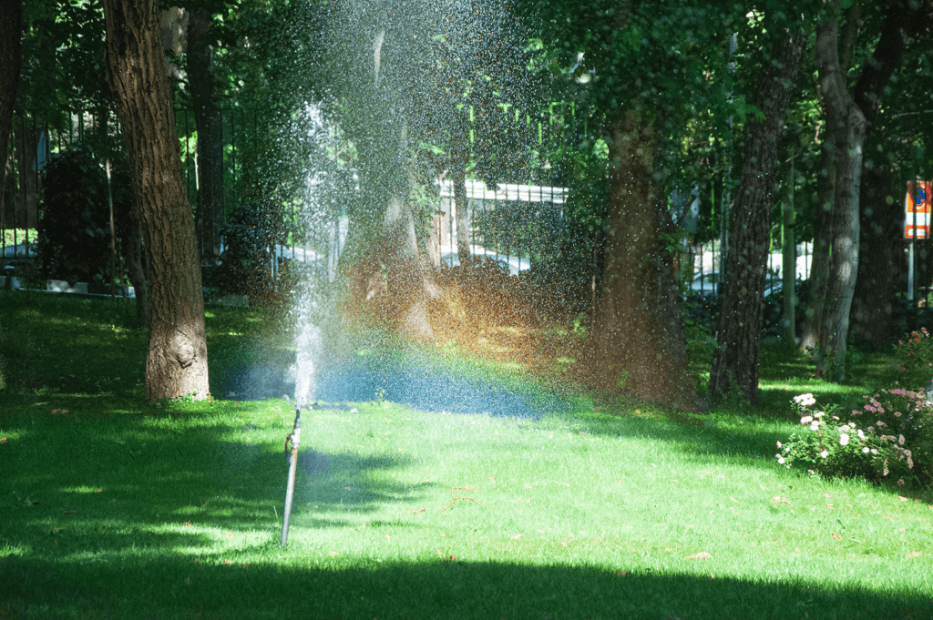 sprinkler in lawn