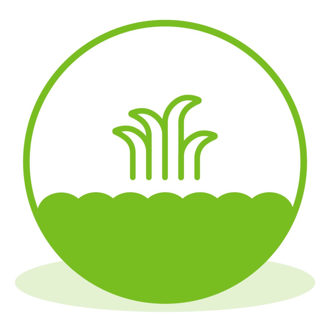Lawn Care Icons_Lawn Care