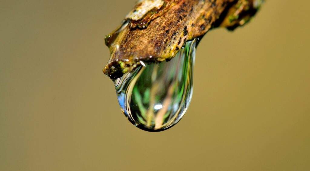 water drop irrigation