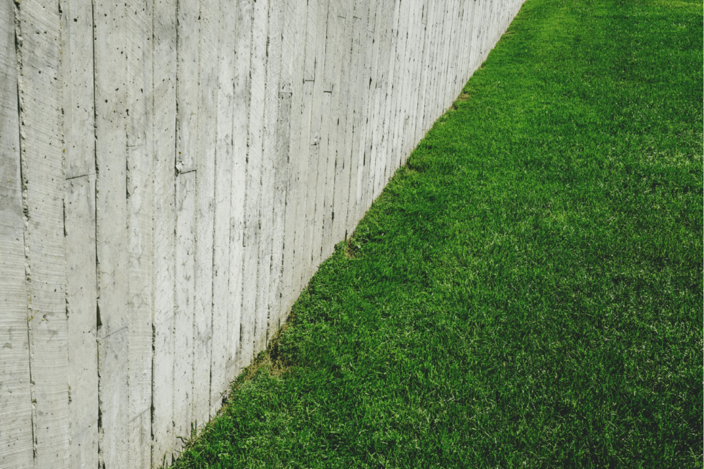 fence and grass