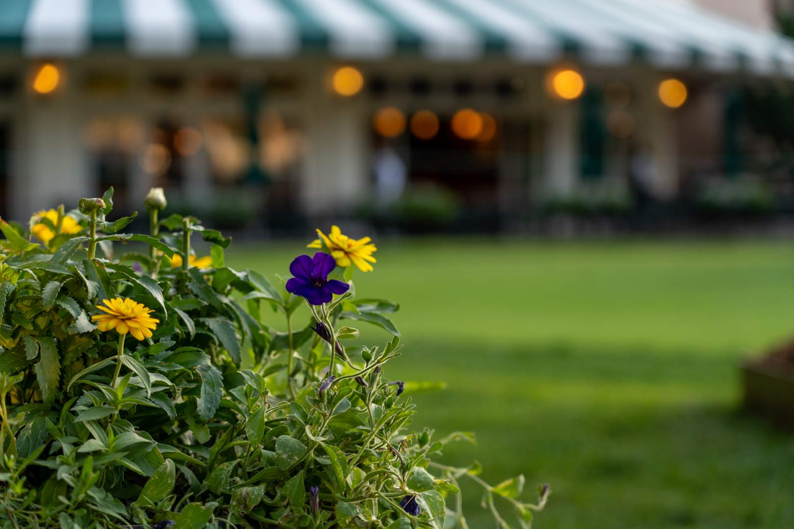 LM150 Rankings - Timberline Landscaping #125