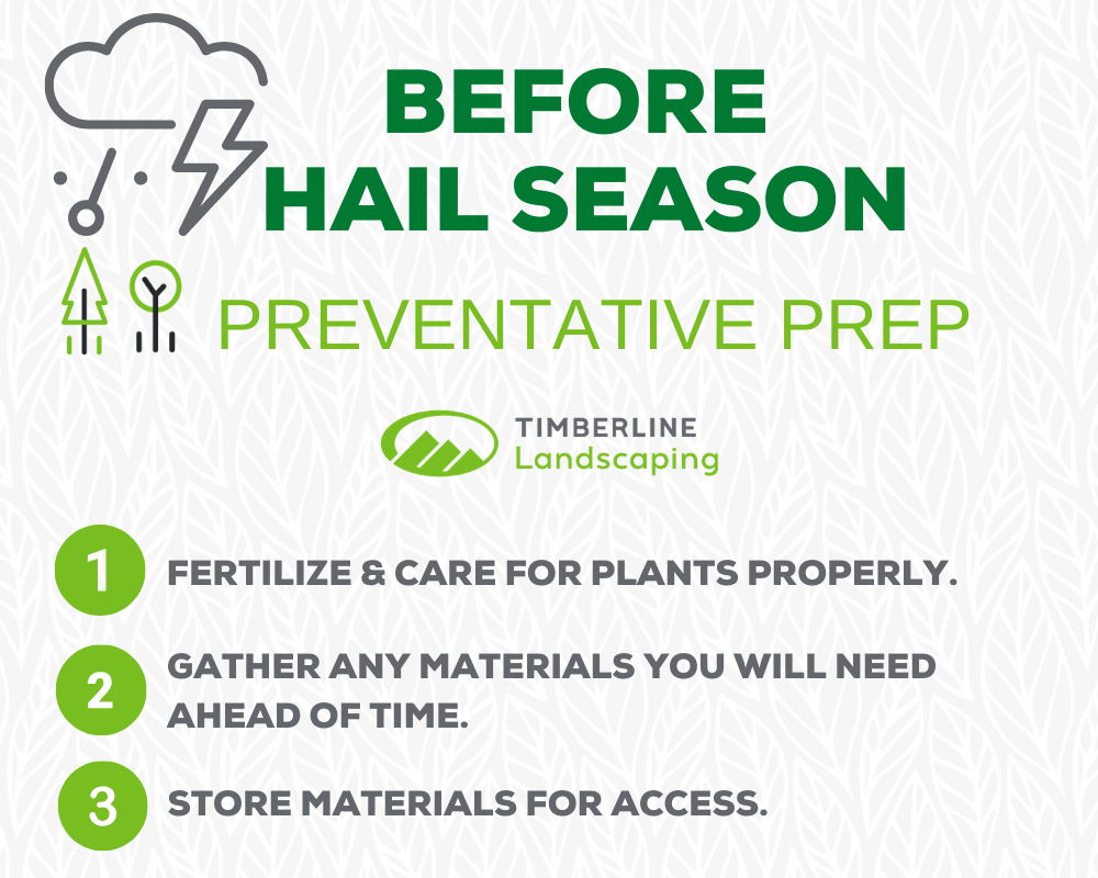 shielding your plants from hail storms