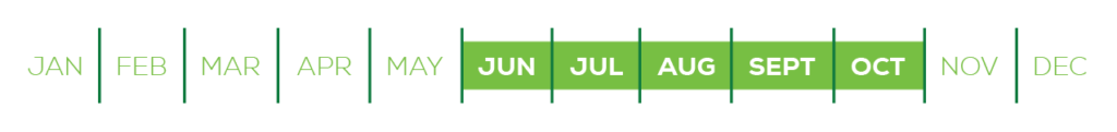 Bloom Times_June-Oct