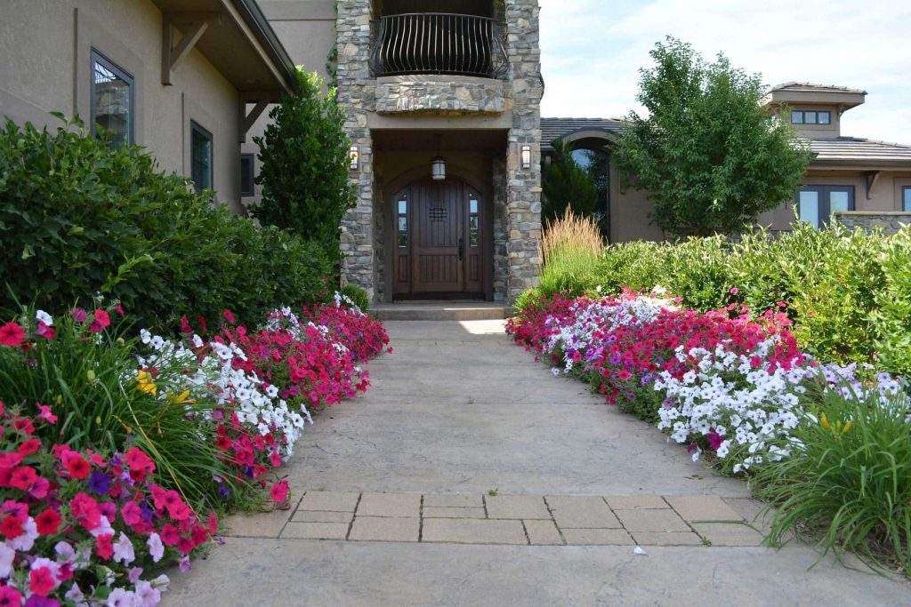 Designing and planting an annual flower bed
