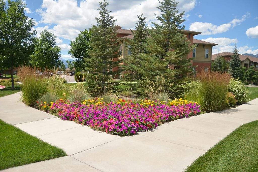 Designing and planting an annual flower bed