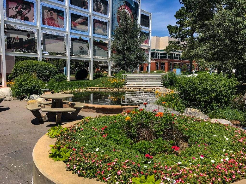Commercial Business Patio with Pond