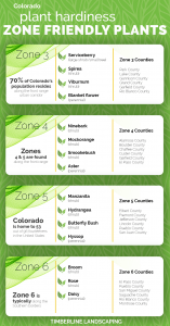 colorado plant hardiness zone friendly plants