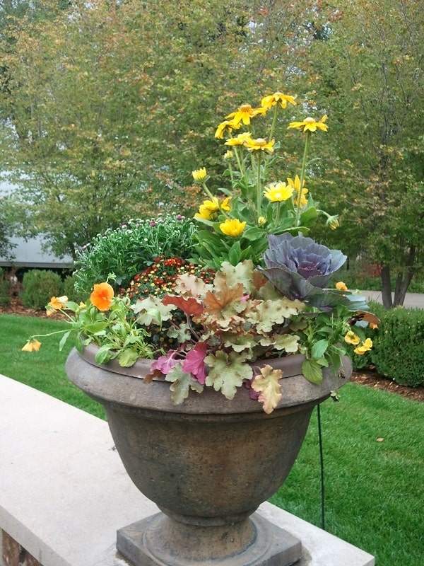 potted plants for colorado1
