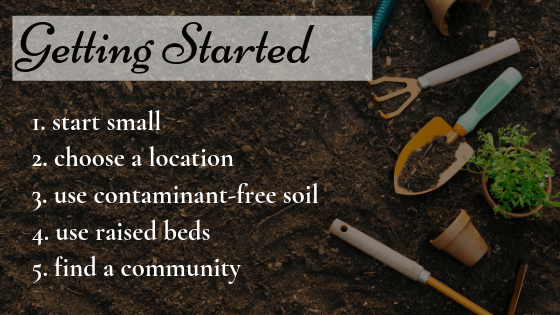 steps to getting your edible garden started