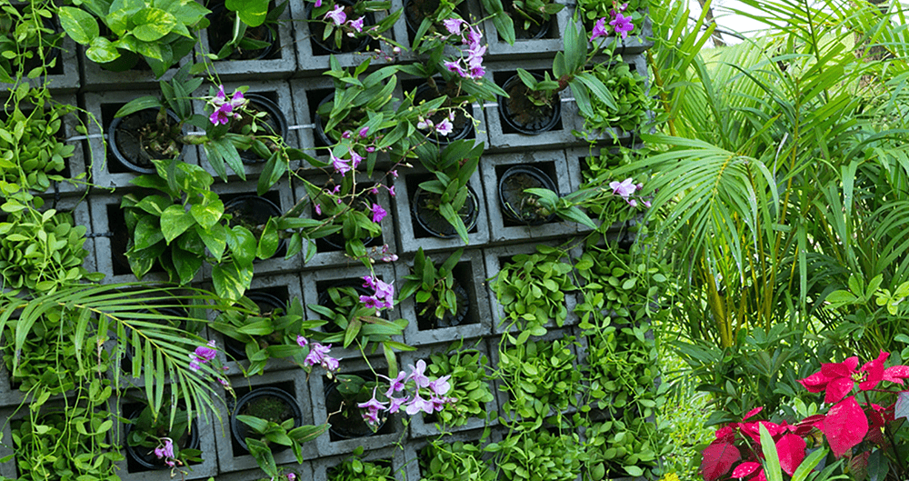 vertical wall garden that saves space