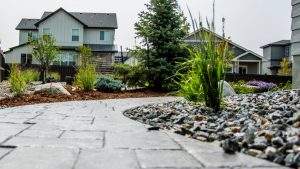 Landscape Pathway