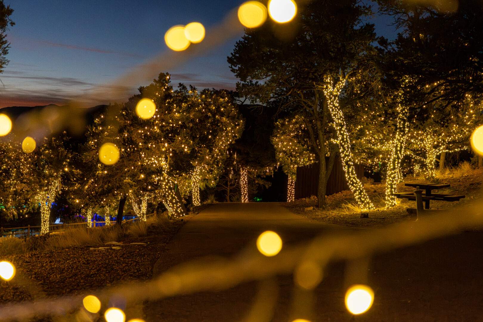 Royal Gorge Christmas Lights