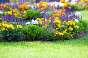 prepare your landscape for spring - multicolored flowerbed on a lawn. horizontal shot. small GRIP