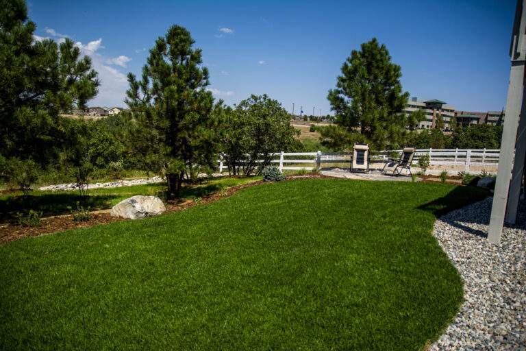 Backyard Turf Area