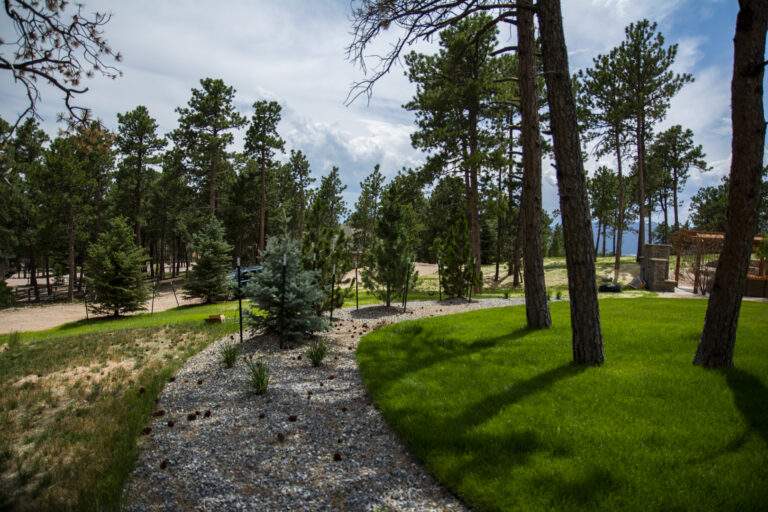 Side Yard with Turf