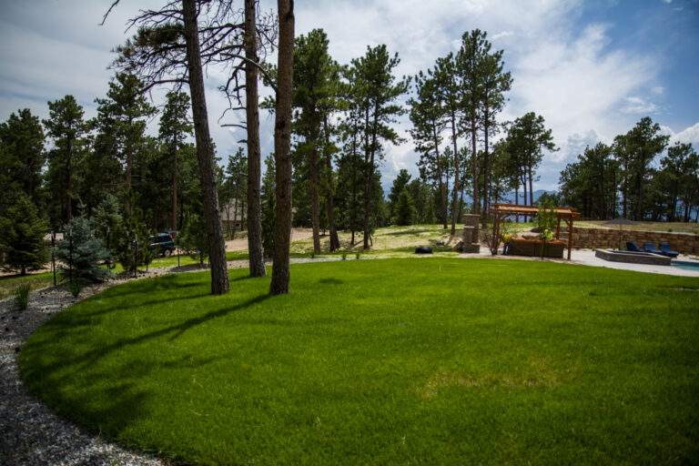 Side Yard with Turf