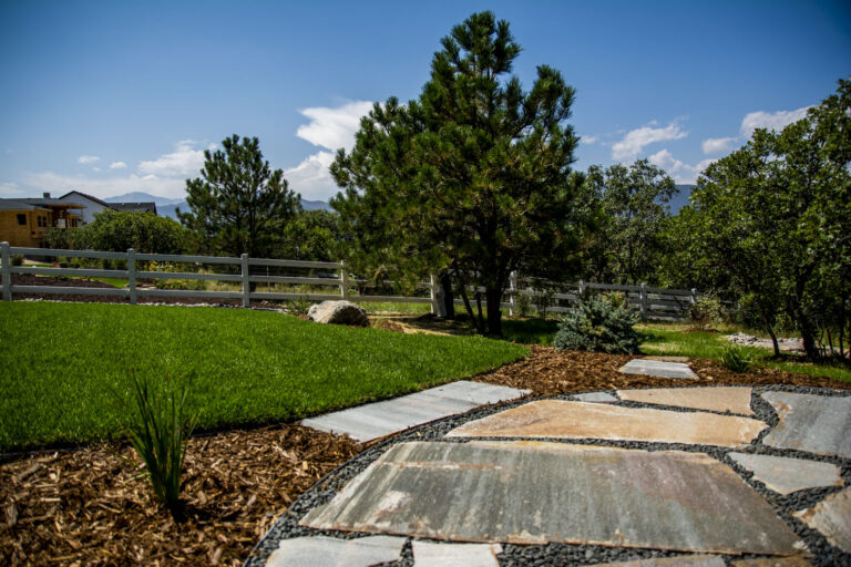 Back Patio