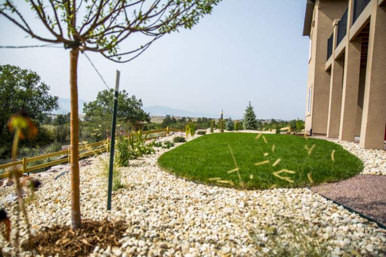 Xeriscaping with Turf