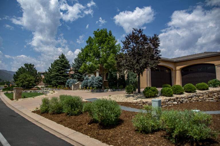 Front Driveway Landscape