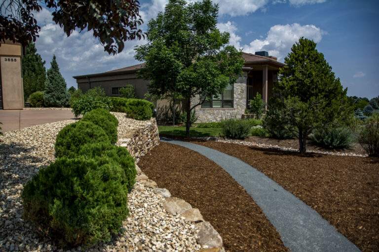 Front Driveway Landscape