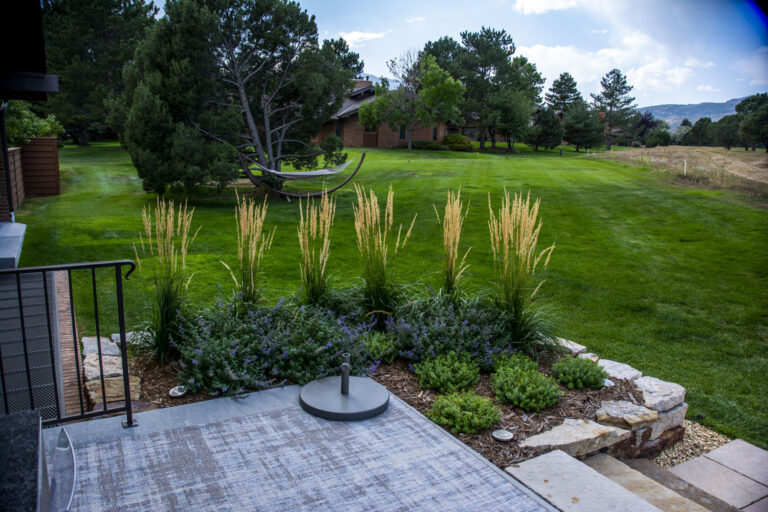 Ornamental Grasses