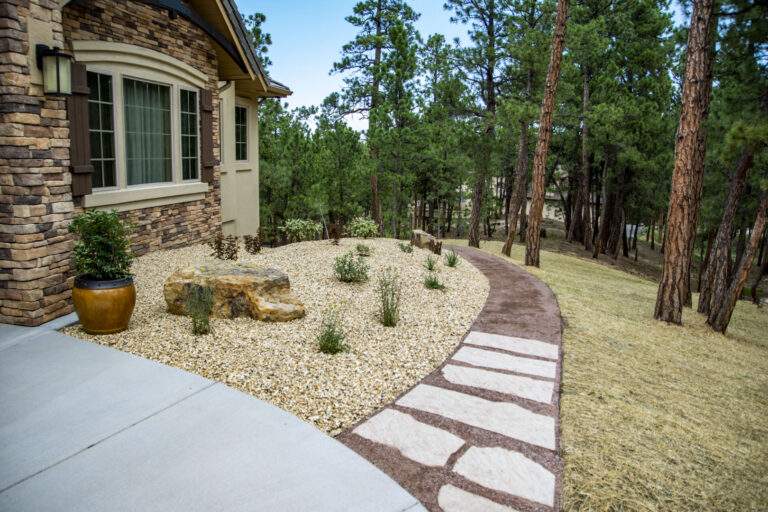 Xeriscaping & Pathway