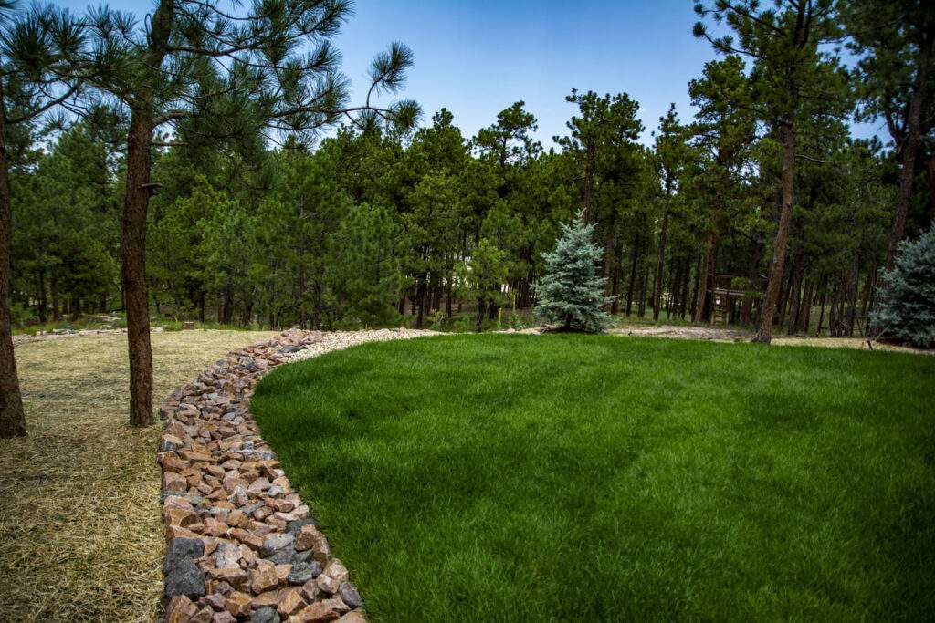 Turf & Trees
