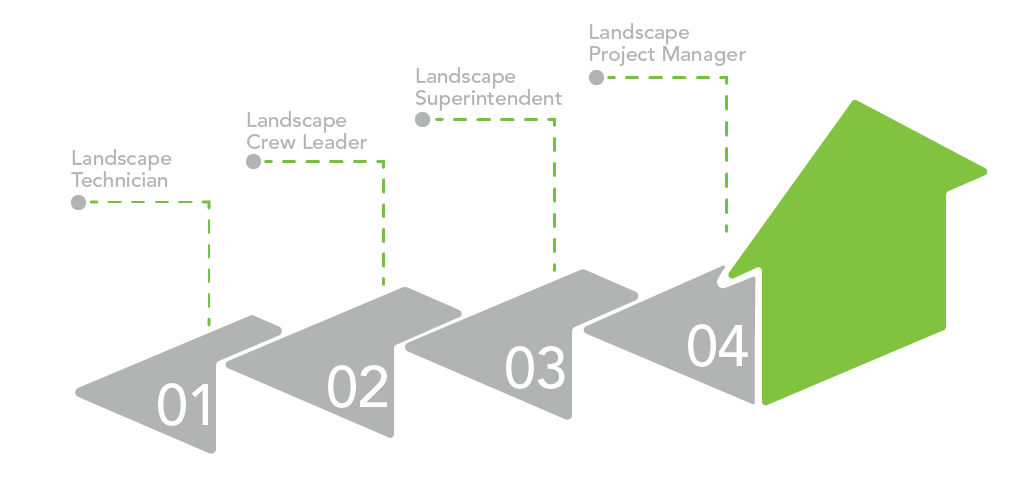 timberline career pathway