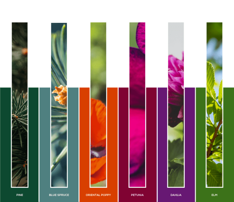 color palette 9