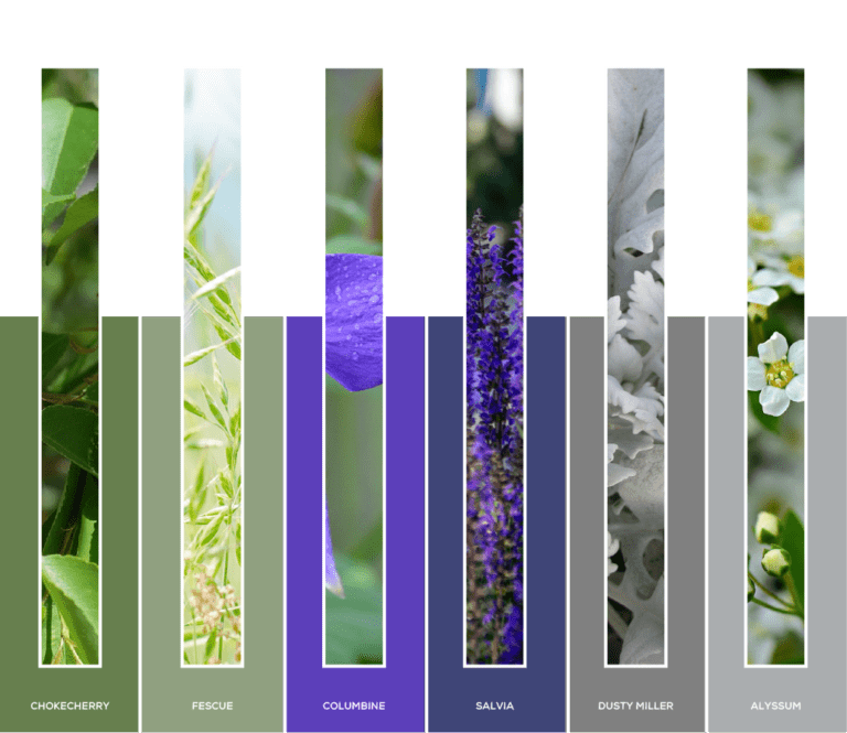 color palette 5