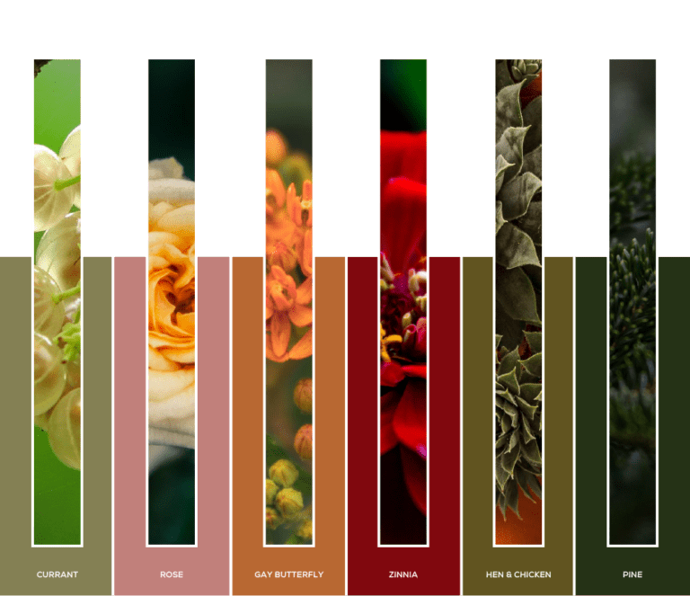 color palette 3