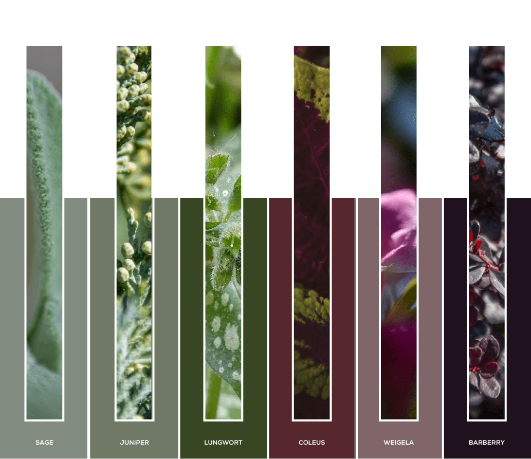 color palette 2