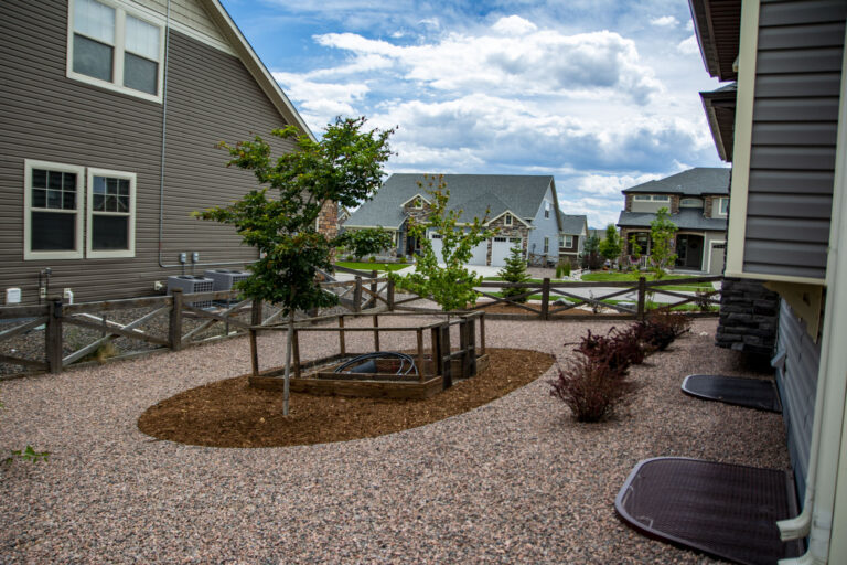 Xeriscaped side yard