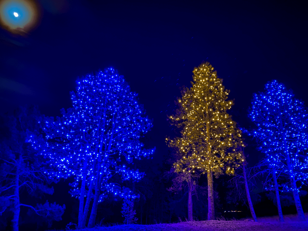 christmas lights trees