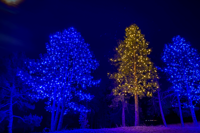 christmas lights trees