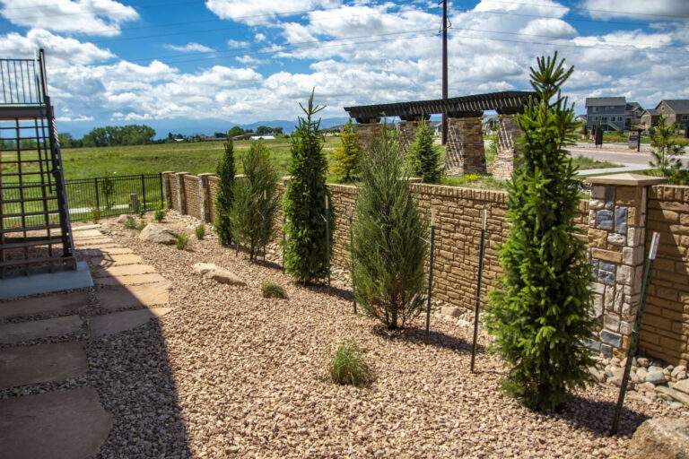 Xeriscaped Backyard