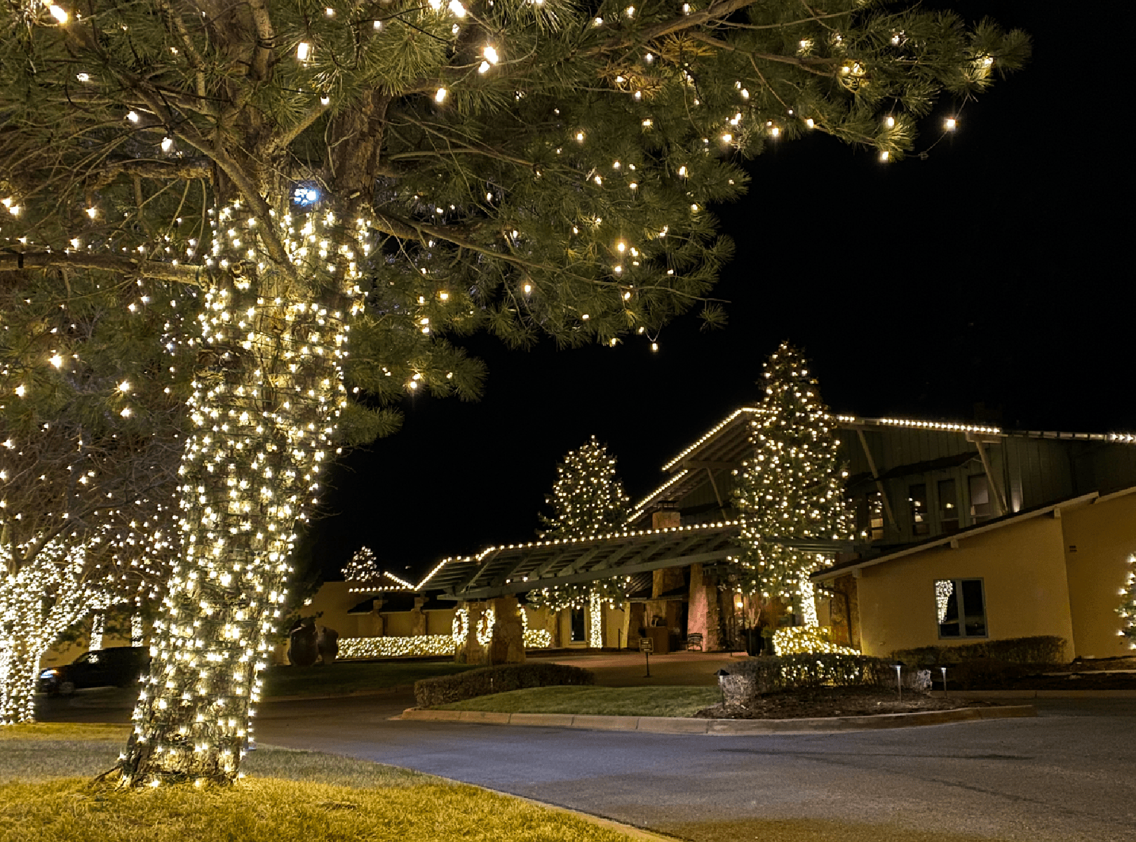 Colorado Springs Christmas Lights Guide Timberline Landscaping