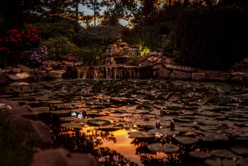 Outdoor Lighting pond