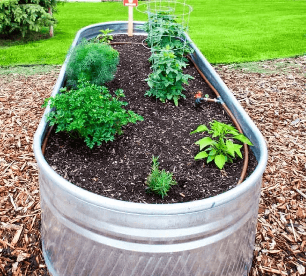 Garden Bed - Galvanized