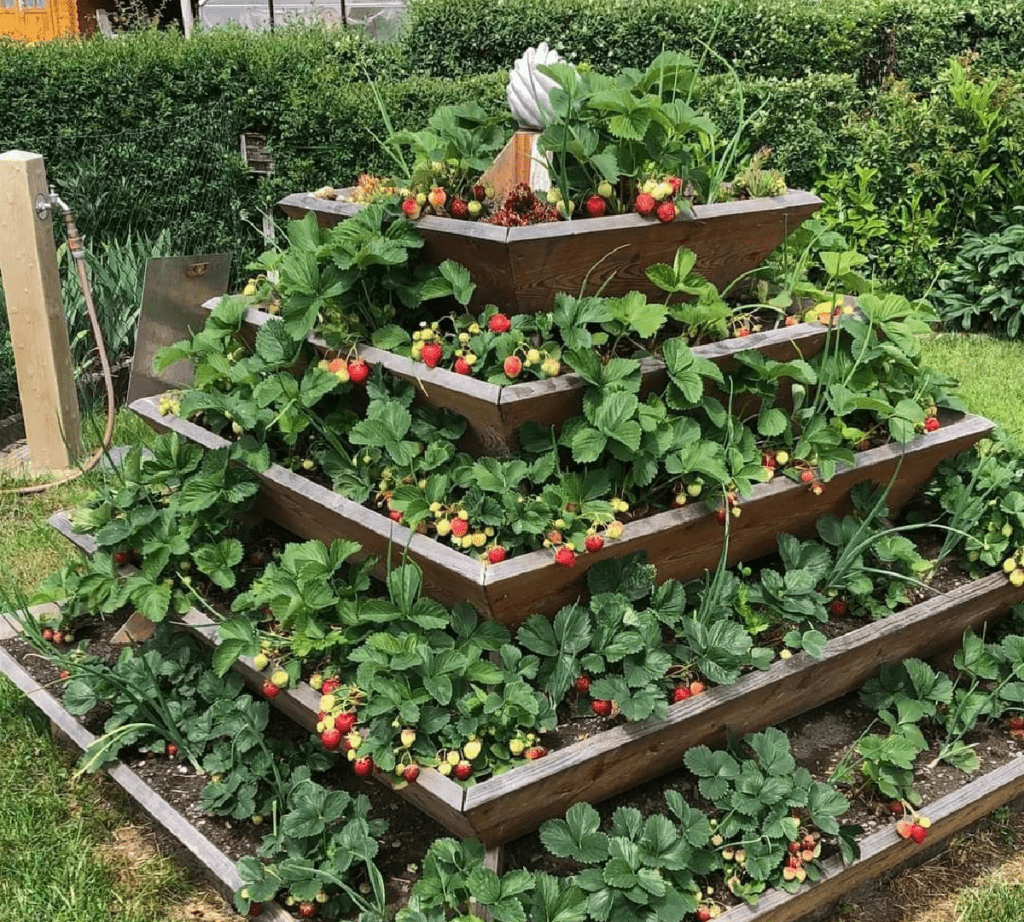 pyramid garden bed