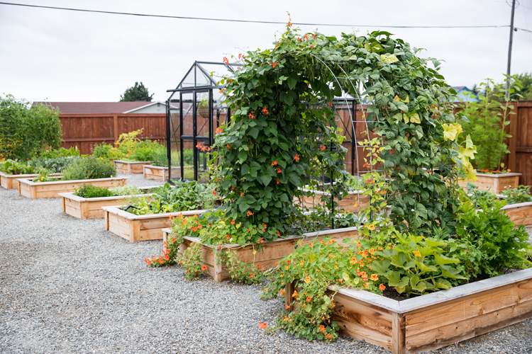 Garden Bed Trellis