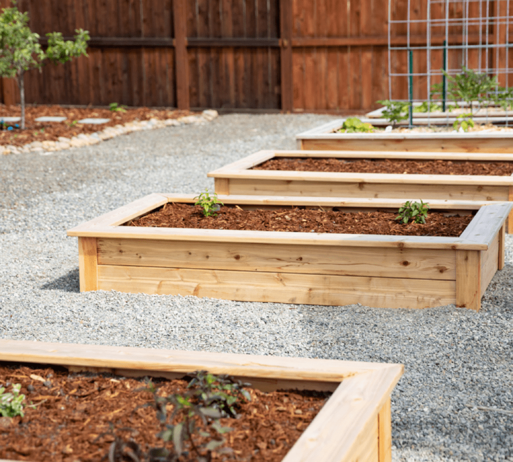 Garden Beds - Wood
