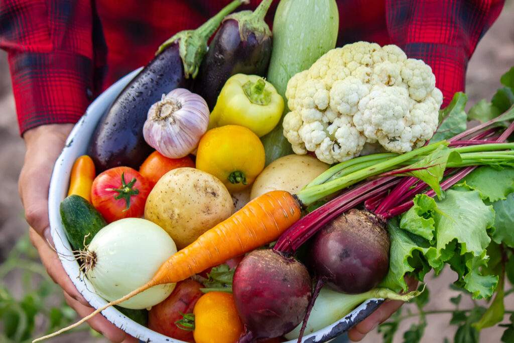A man holds vegetables from a farm in Minsk. Nature