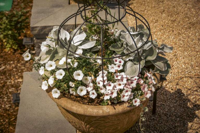 flowerpot with petunias and other pink flowers