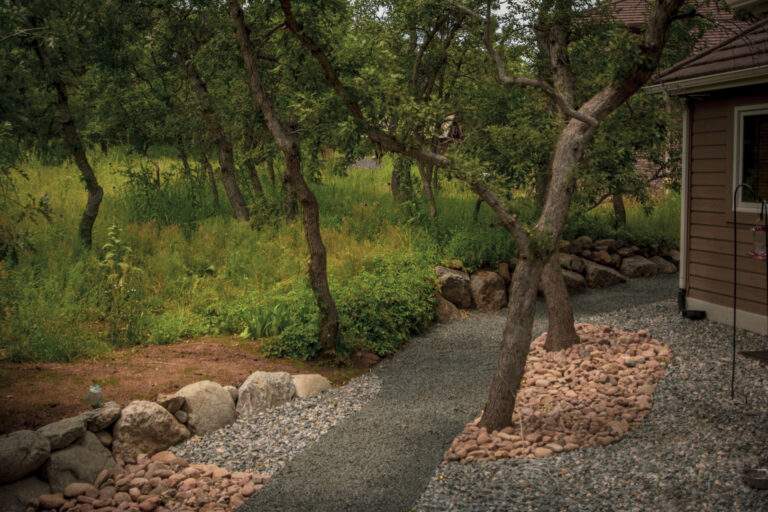 xeriscaped grey and pink rock with trees and lawn