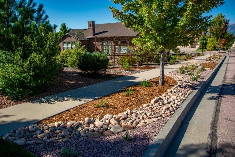 Xeriscaping next to sidewalk with rocks, mulch, plants and trees