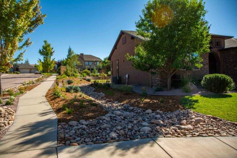 Dry creekbed next to house with mulch and rocks and a tree