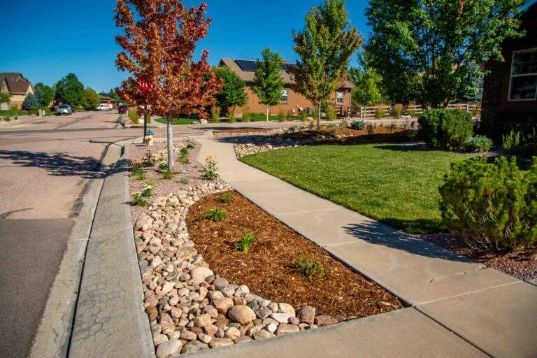 Xeriscaping next to house with rocks, mulch, plants and trees